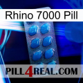 Rhino 7000 Pill viagra1